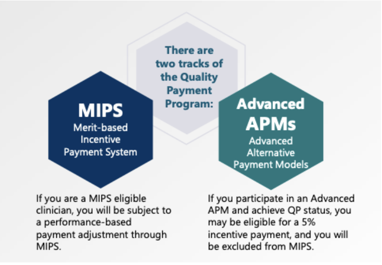 MIPS 2022 Overview