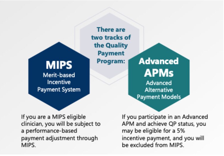 MIPS 2023 Overview