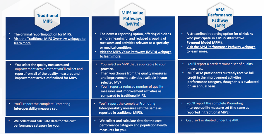 MIPS 2024 Overview